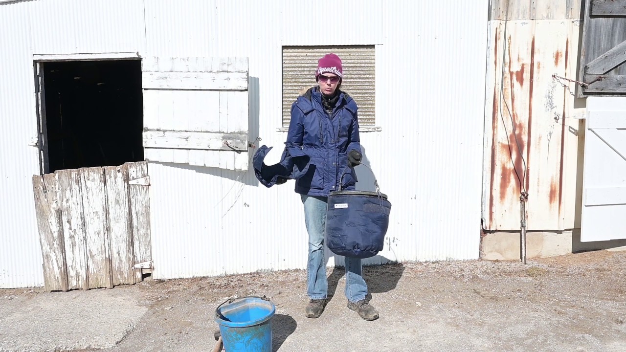 Winter Horse Care Hacks