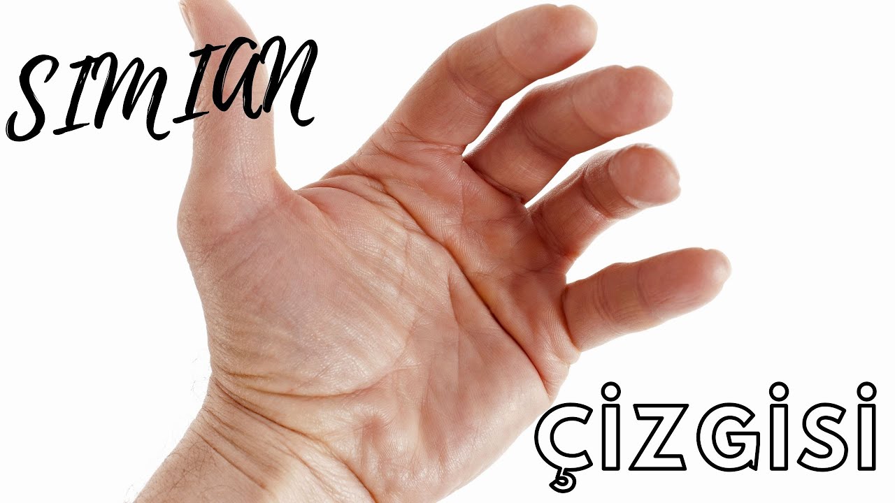 SİMİAN ÇİZGİSİ