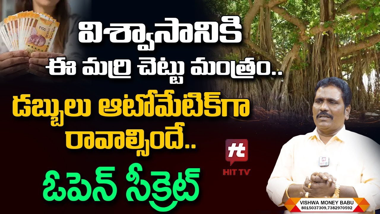 Vishwa Money Babu : విశ్వాసానికి ఈ మర్రి చెట్టు మంత్రం..! | Powerful Money Technique@HITTVOFFICIAL