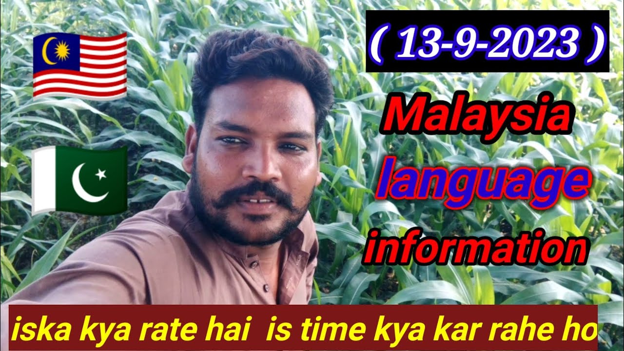 iska kya rate hai  is time kya kar rahe ho information Malaysia language  / 13-10-2023 /