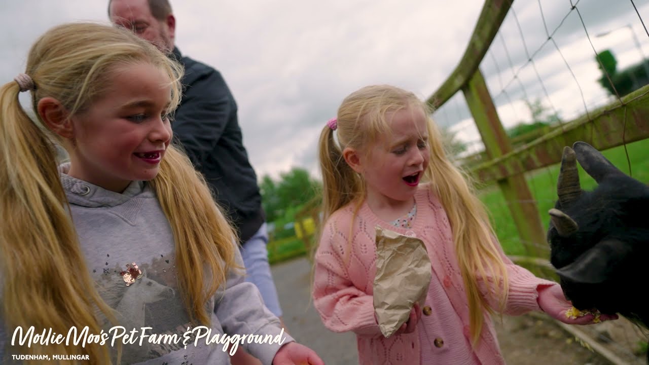MOLLY MOOS PET FARM, MULLINGAR, WESTMEATH