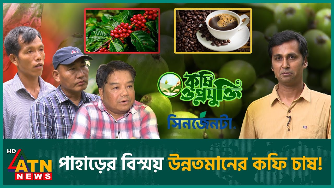 পার্বত্য ৩ জেলায় কফি চাষের বিরাট সম্ভাবনা! | Coffee Cultivation | Krishi O Projukti | Coffee