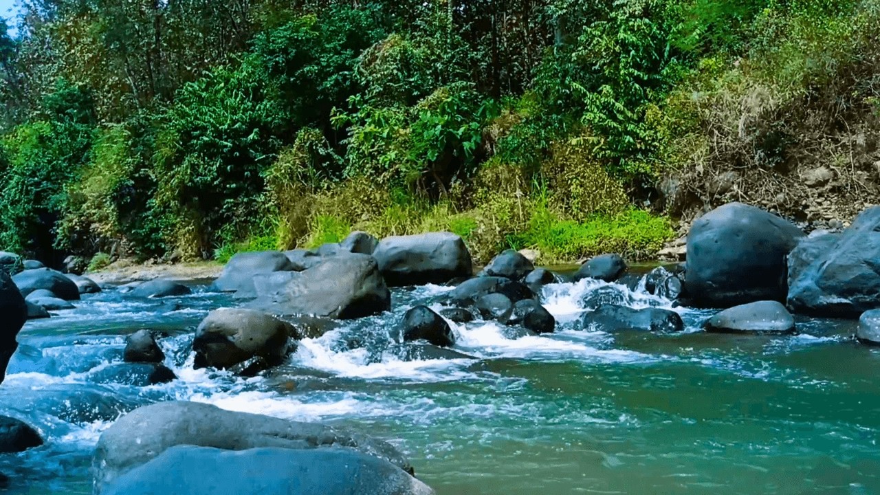 GENTLE STREAM & RIVER SOUNDS – NATURAL WHITE NOISE FOR SLEEP AND RELAXATION