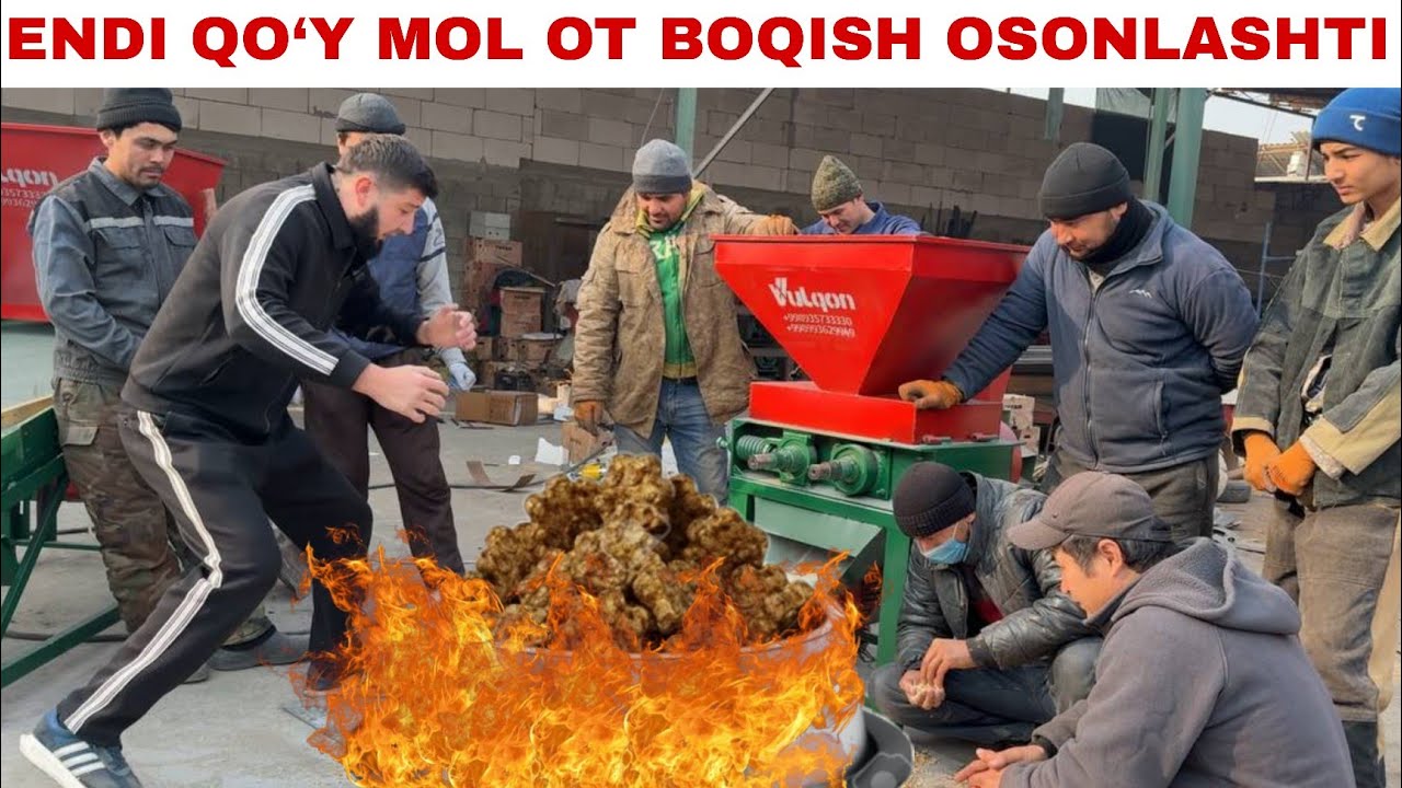 YEMDI XAYVON ORQASIDAN ATXOT QILIP CHIQARMAYDI 
