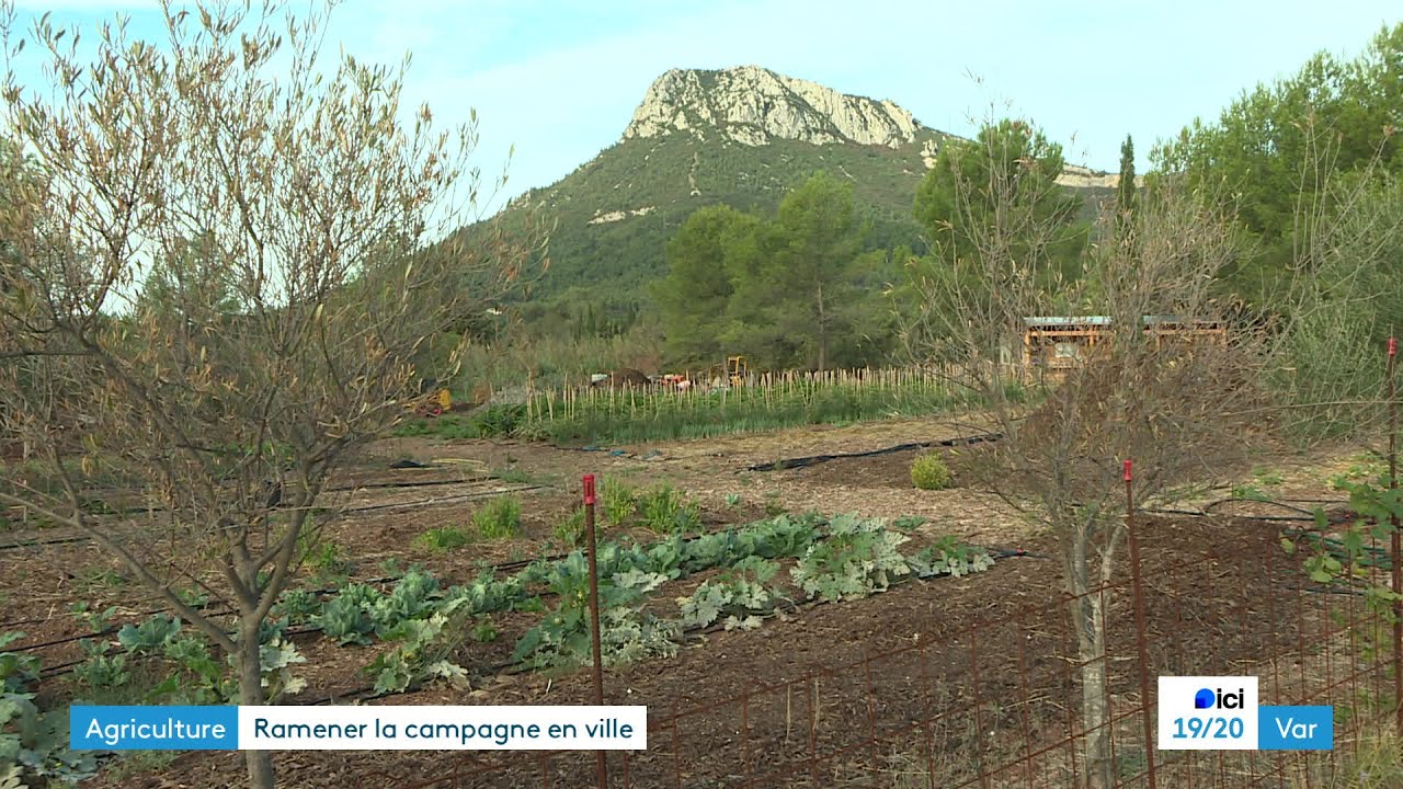 Var : La Farlède remet de la campagne en ville