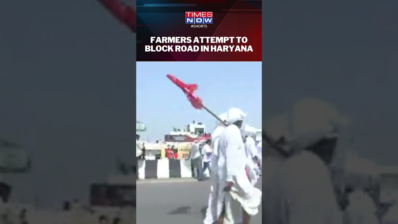 Farmers Attempt To Block Road In Kurukshetra Over Demand For MSP For Sunflower Seed
