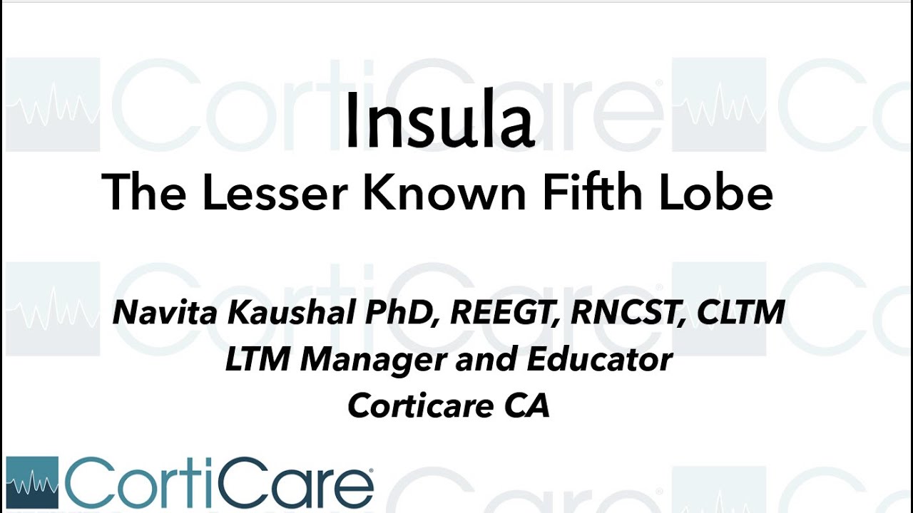 Webinar - Insula The Lesser Known Fifth Lobe