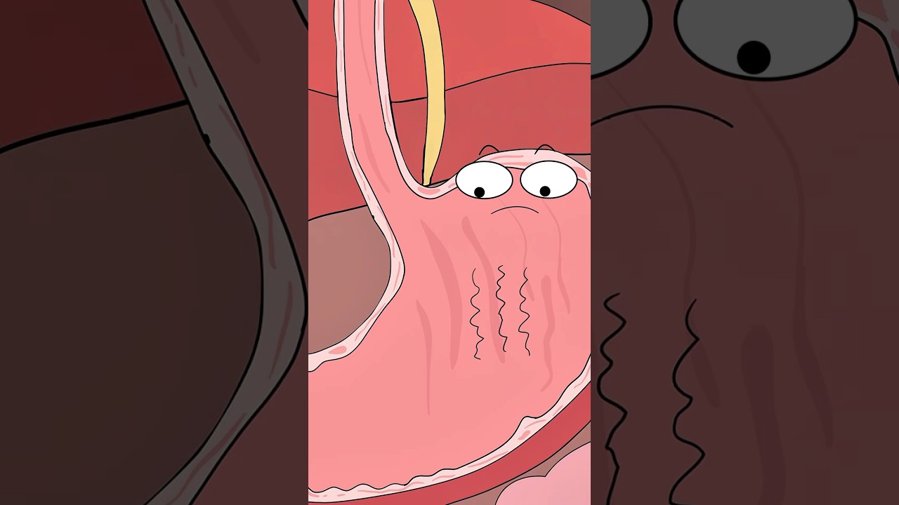 What Happens When You Drink Too Much Soda.   #animation  #health
