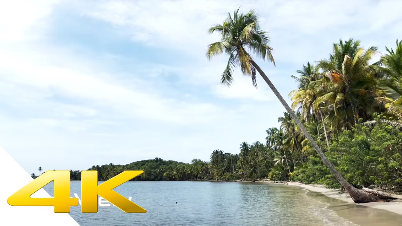 Bocas del Drago Beach - Panamá 4K - Bocas del Toro - Isla Colón 60|HDR