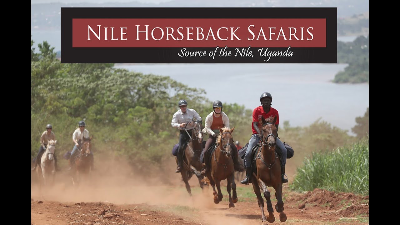 Horse riding in Jinja Uganda December 2025