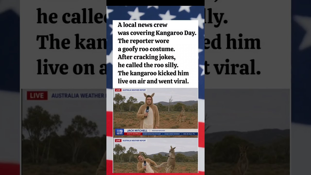 Reporter mocks kangaroo on the live TV - gets kicked in the back instantly