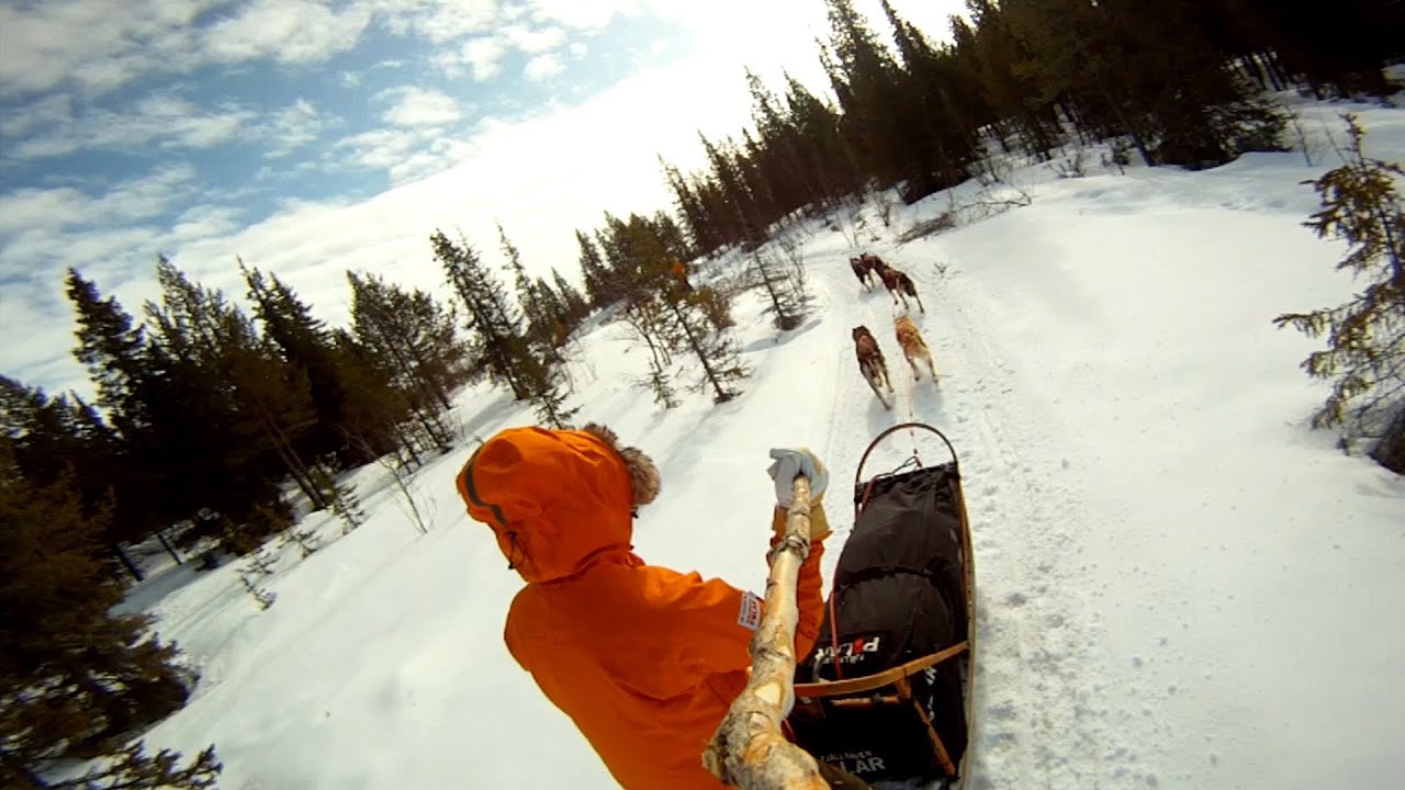 GoPro: Arctic Dogsled