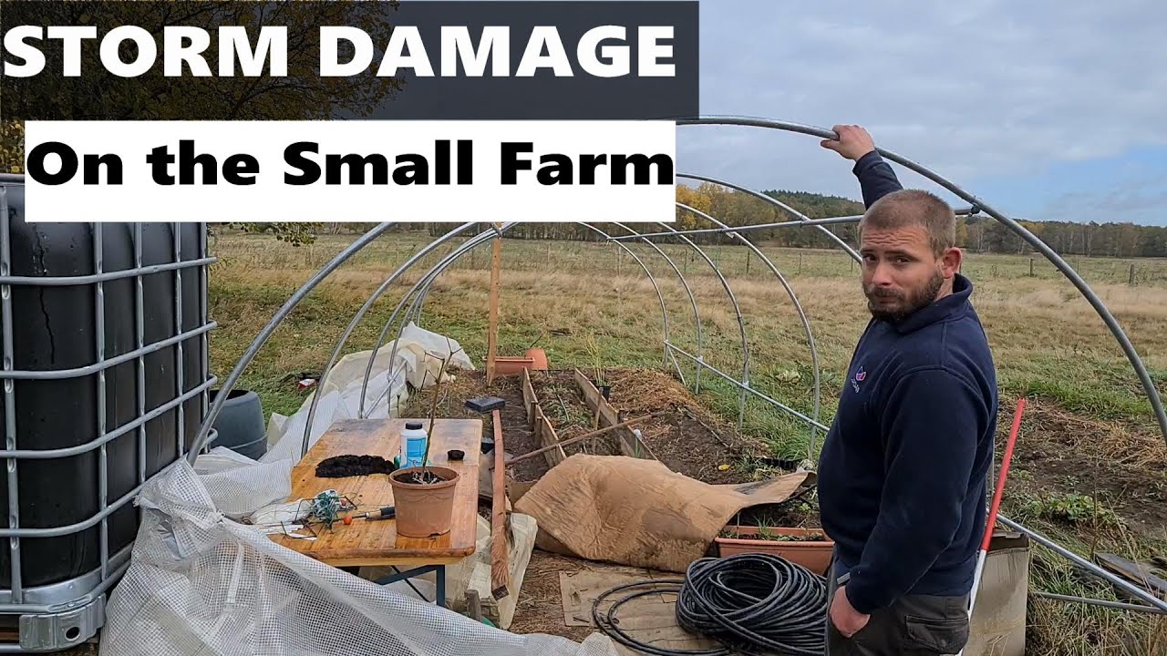 Storm Damage on the Small Farm -  Homesteading Farm vlog #11