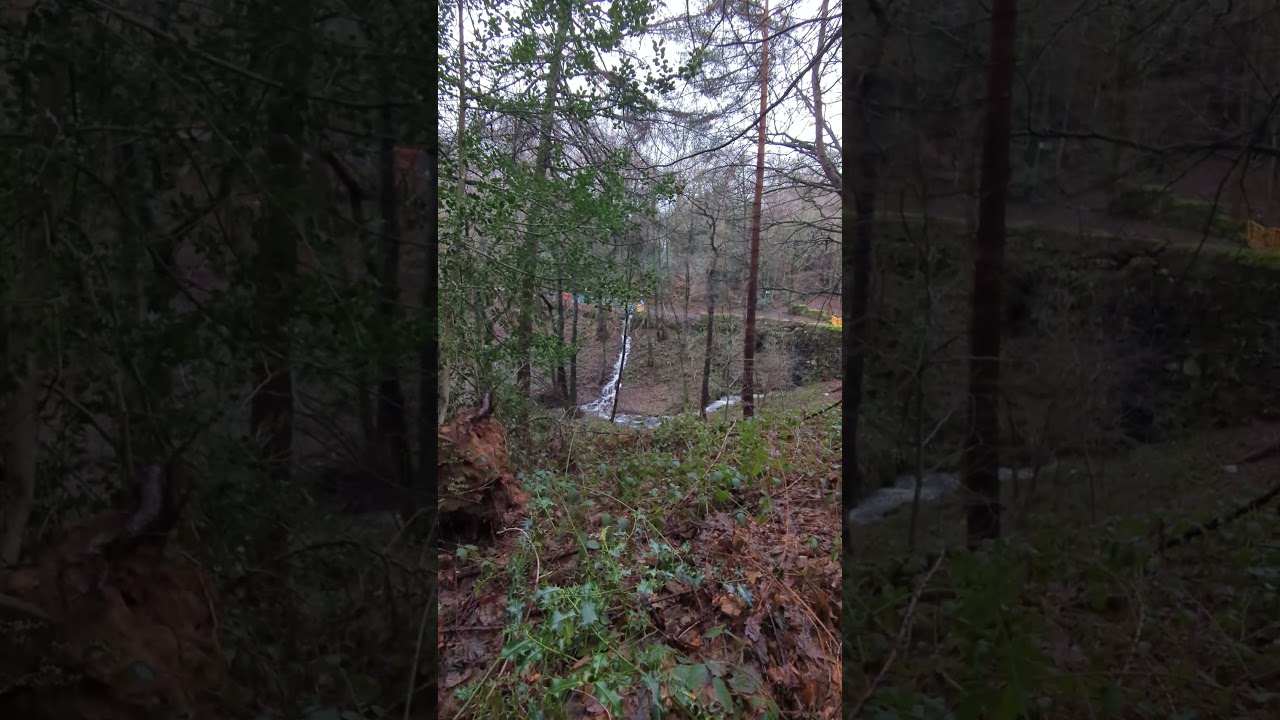 rooting for the planet 