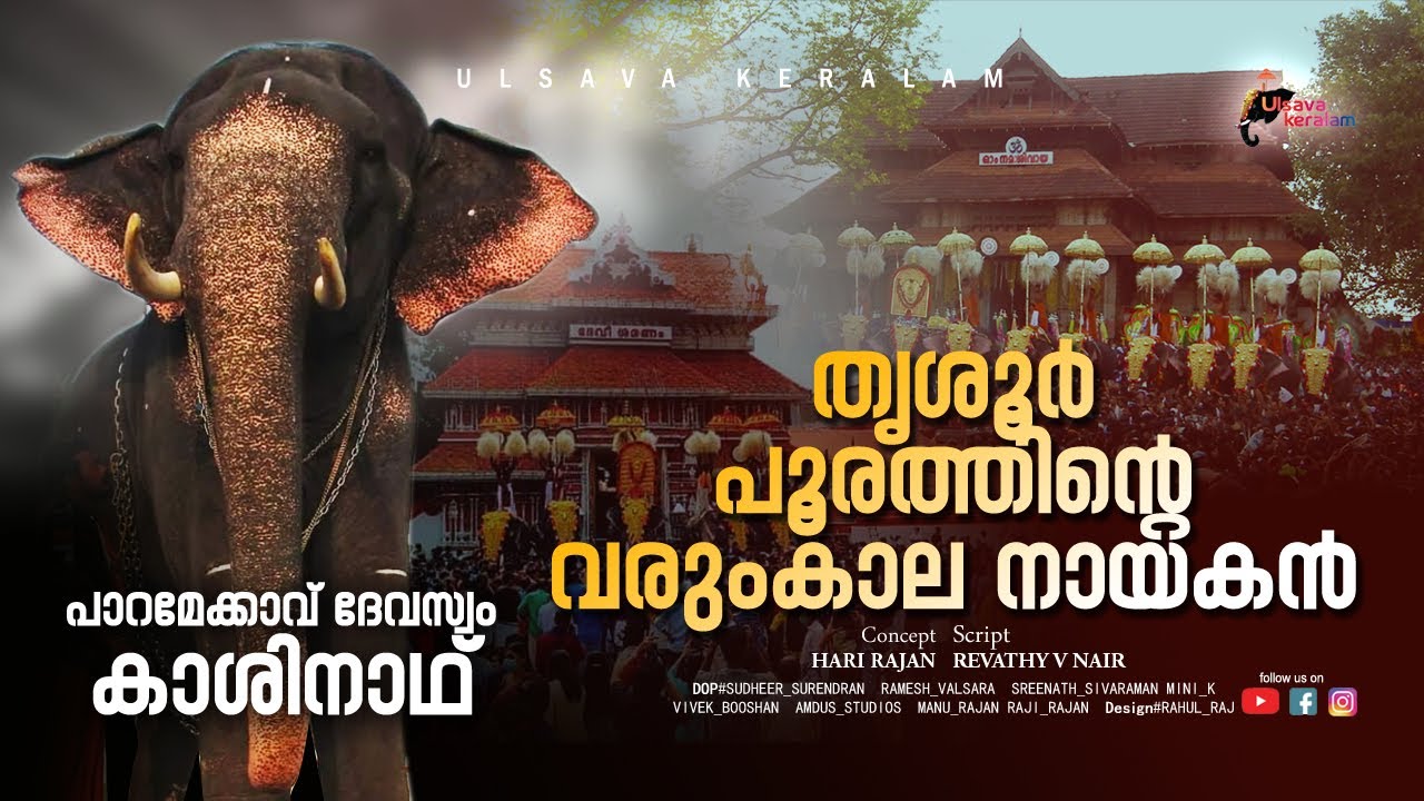 ഇവൻ നാളെയുടെ പൂരനായകൻ|Upcoming Hero of Pooram|Paramekkavu Kasinathan|Thrissur Pooram Special|EPI 164