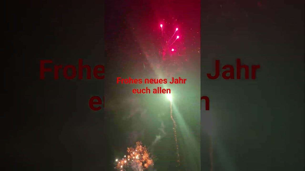 Frohes Neues Jahr🎉🎊 Danke für 2025❤️