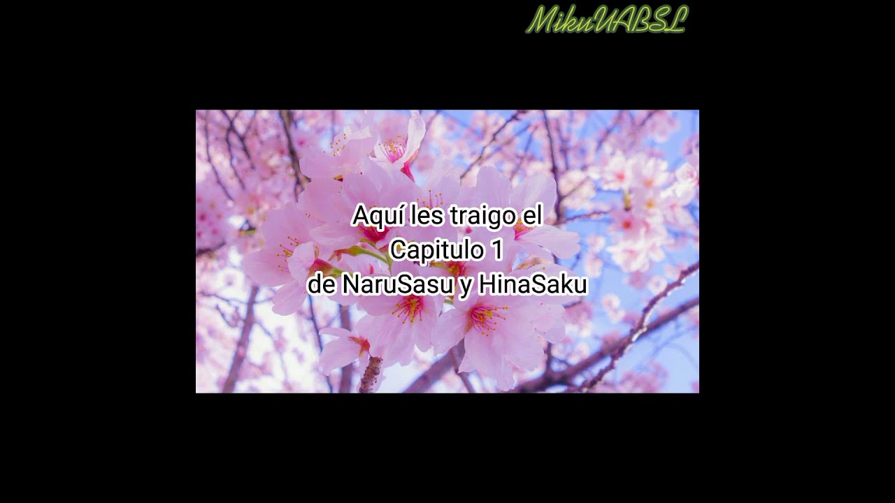 Capitulo 1 💫NaruSasu y HinaSaku💫