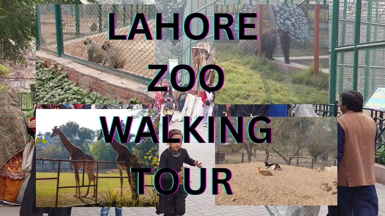 LAHORE  ZOO 🦁 UHD Walking  Tour Pakistan