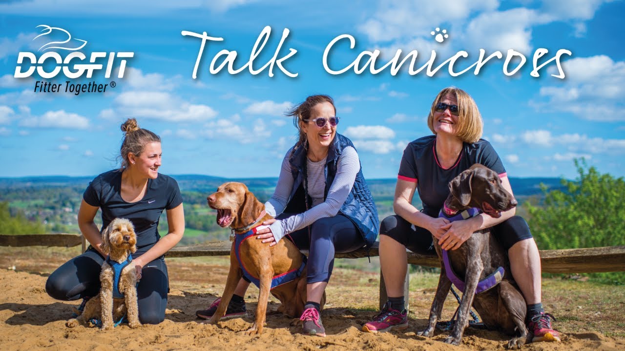 Can I Canicross with a reactive or anxious dog?