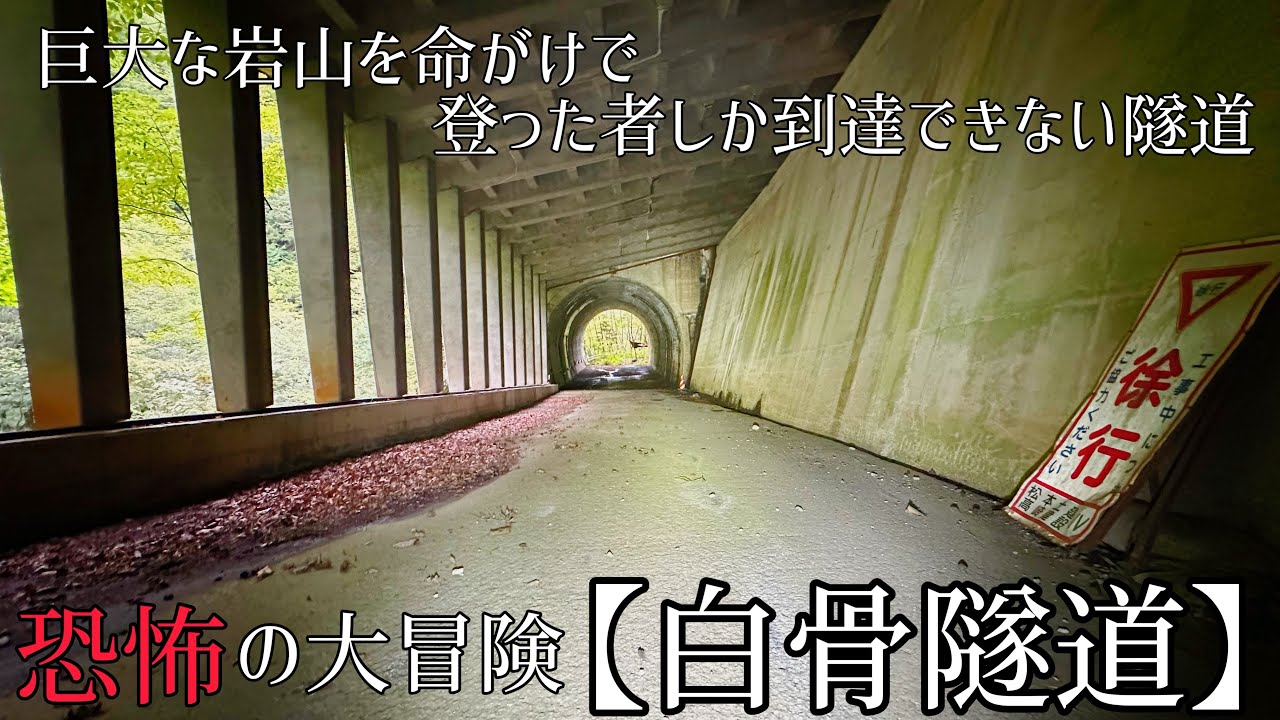 危険すぎる廃道の先にはまさかの絶景が待っていた【隧道】