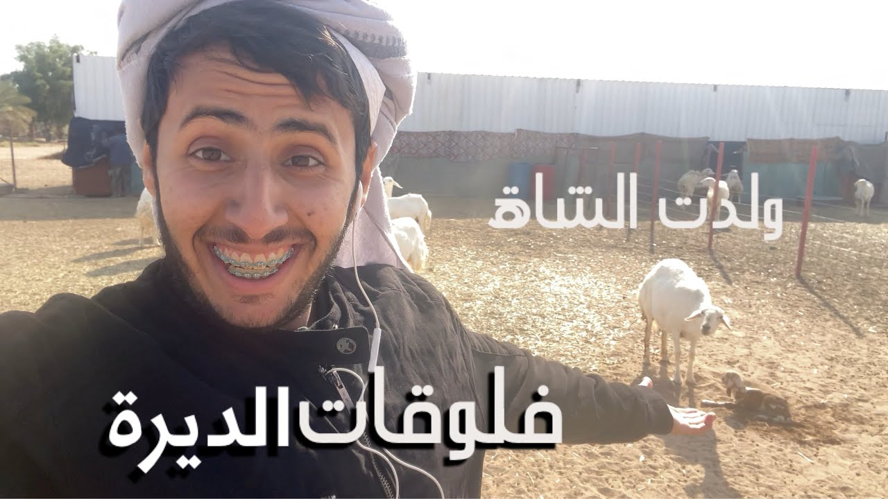 ولدت الشاة 😱 | فلوقات الديرة Vlog1