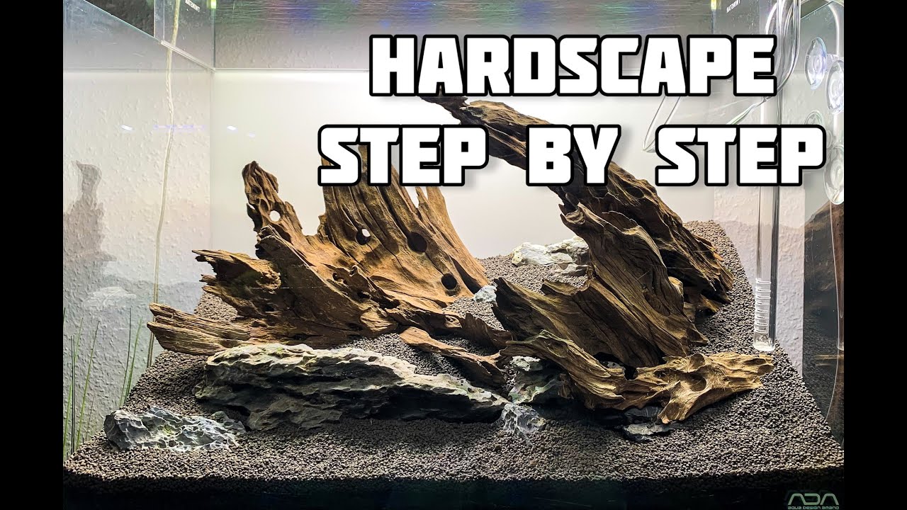 45p Aquarium / Hardscape / Mangrove wood / Seiryu Stone / Time Lapse Video