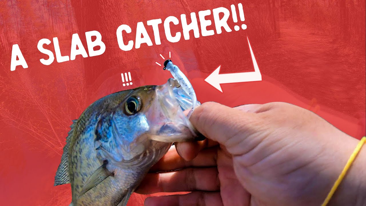 Mule Fishing Mule Minnow &ndash; единственная рыболовная приманка, которая вам понадобится!