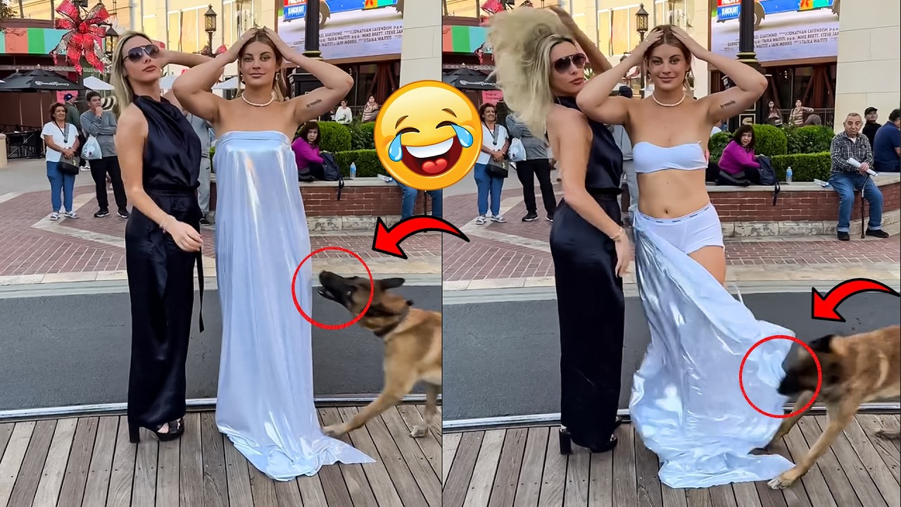 Попробуйте не засмеяться 🤣 100 самых смешных видео всех времен 🎬🔥 Подборка мемов, эпичных неудач ...