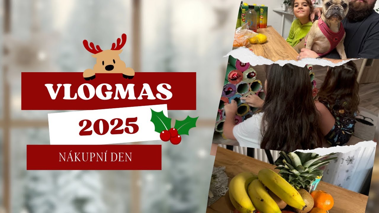 Vlogmas✨#21: Podívat se na zahradu a nákupy 🛍️ 🛒