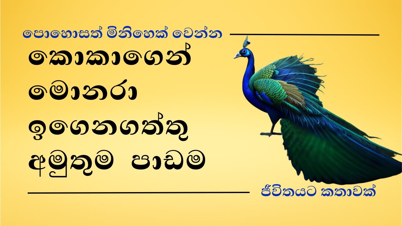 මොණරා සහ මාන කොකා / kathandara/ sinhala motivational story video/jeewithayata kathawak
