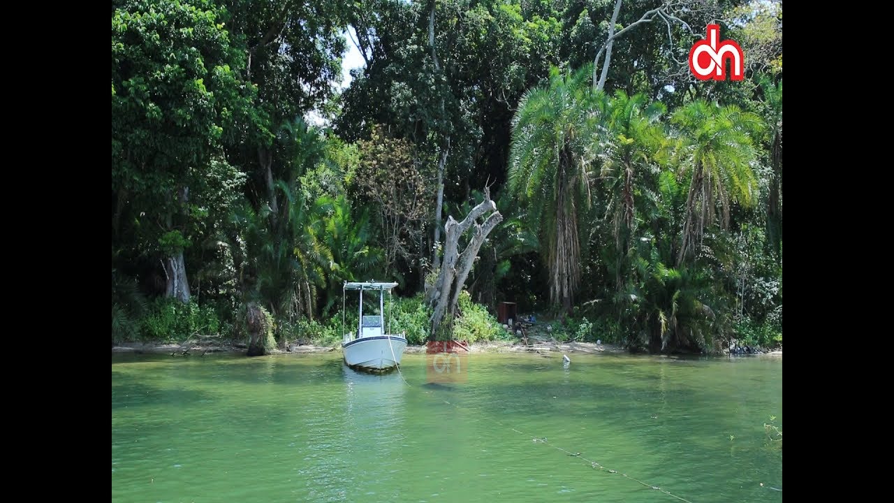 Safari kuelekea kisiwa cha 'maajabu' Rubondo