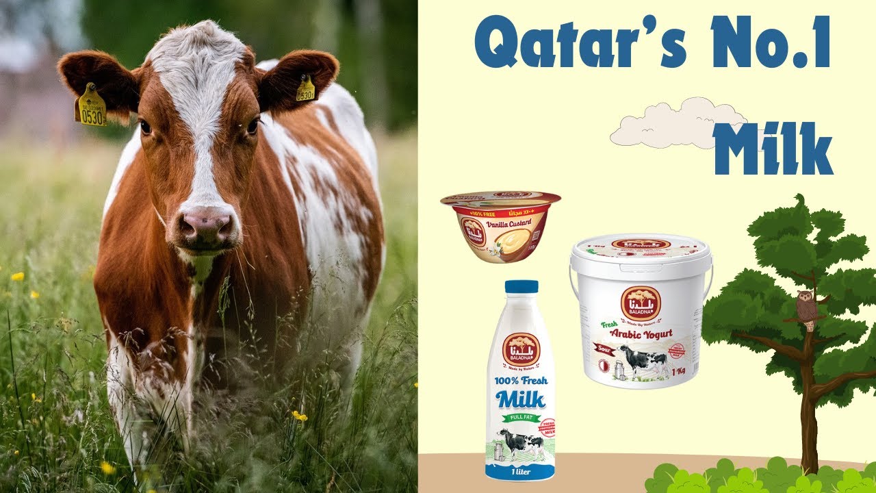 Diary Factory | Baladna park | Doha | Al Khore | Qatar