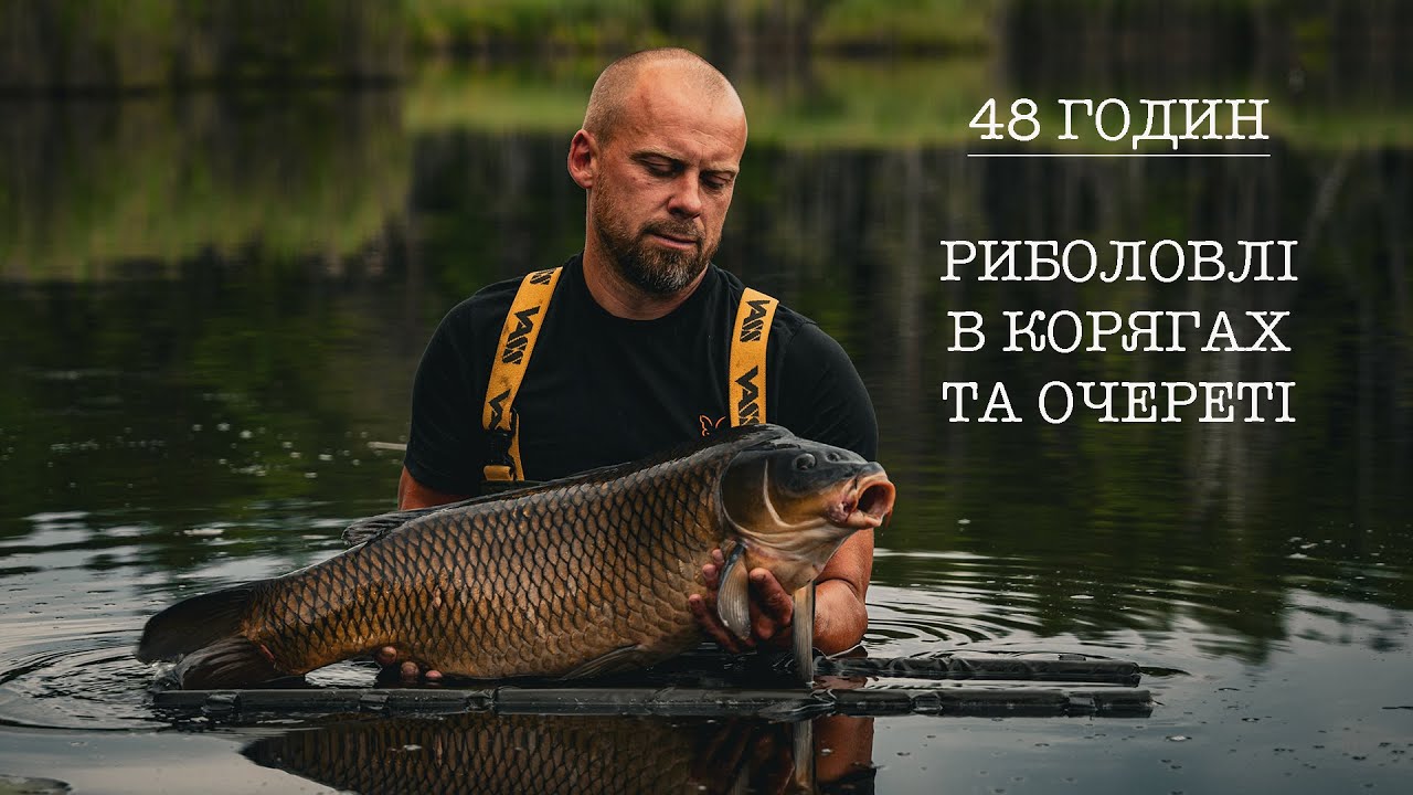 ТРИ ДЕСЯТКА КОРОПІВ ЗА ДВІ ДОБИ / РИБОЛОВЛЯ В КОРЯГАХ ТА ОЧЕРЕТІ