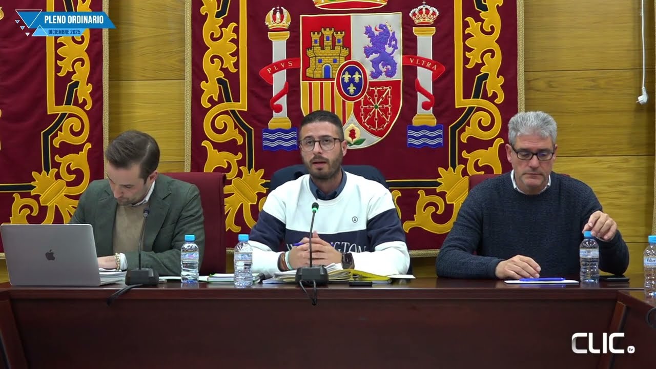 PLENO ORDINARIO DE DICIEMBRE - EL INFORMATIVO