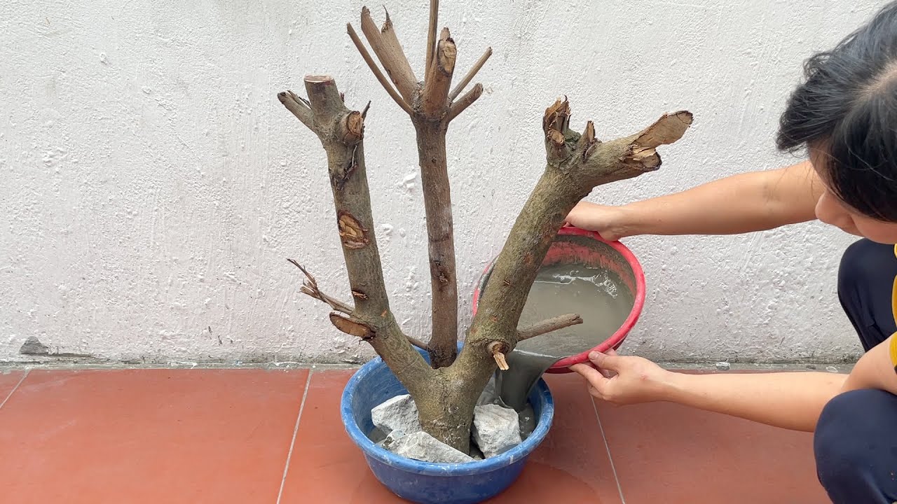 Amazing Idea From Tree Stump And Wood Small Tree Slices Cirscles . Making Coffee Table And Chairs .
