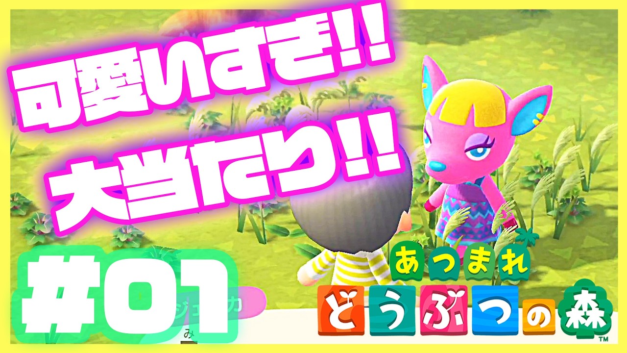 【あつ森】アラサーメイドおじさんが往く20年ぶりの『どうぶつの森』!!!!【あつまれ　どうぶつの森】#1