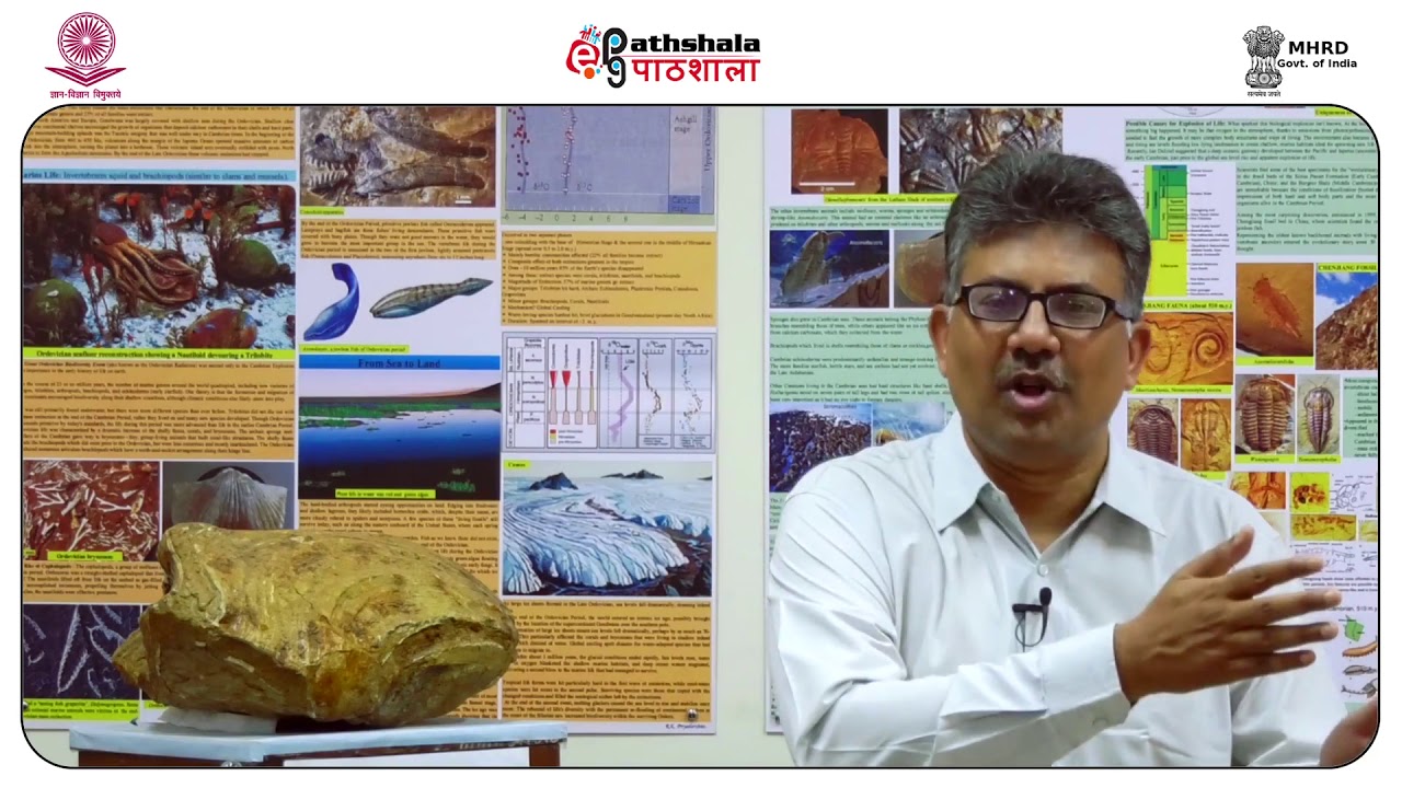 Fluvial systems and deposits 1