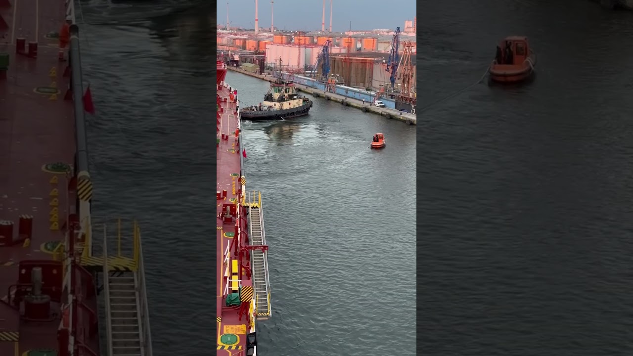 Vessel under mooring operation #capitanalinalexe #reels #tanker #lifeatsea #pilot