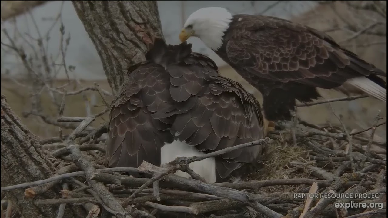 Decorah Eagles 2 19 26 HD brings fish breakfast, HM2 finishes it off