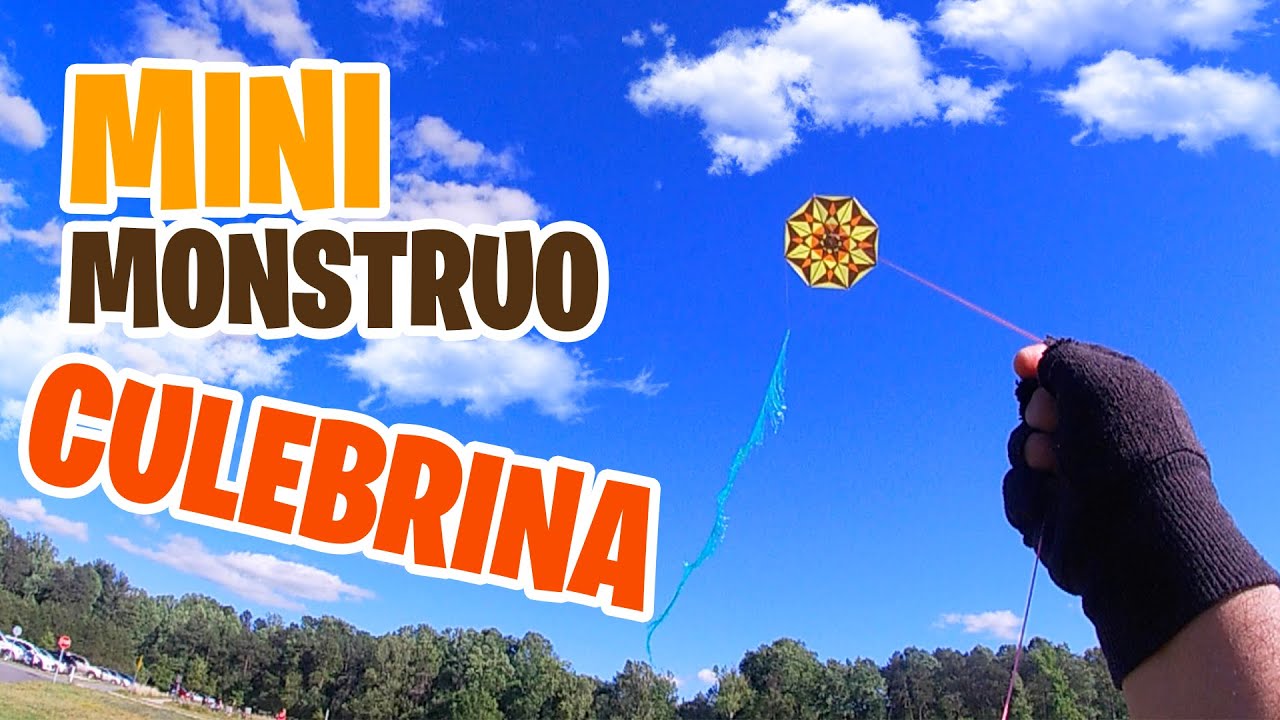 ¡Mini Monstruo en el Cielo! | Vuelo en Quarry Park