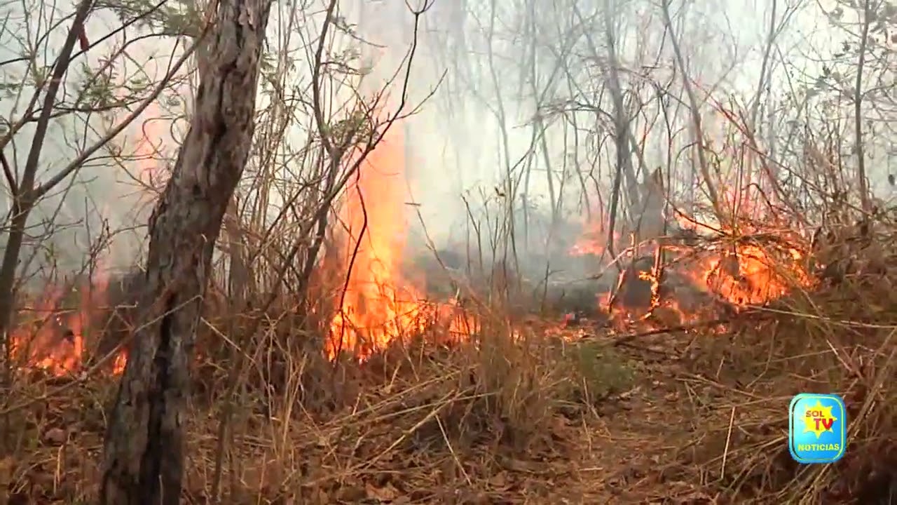ALERTA AMARILLA POR INCENDIOS FORESTALES EN EL SALVADOR