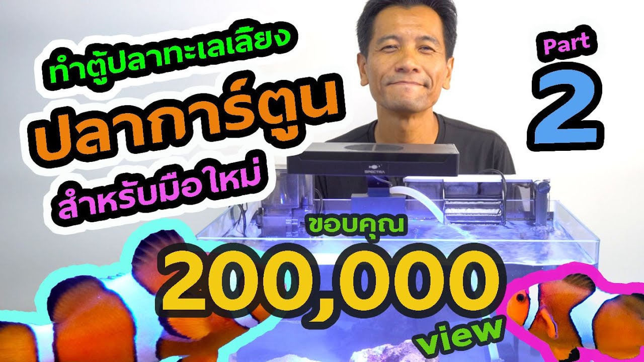 ตู้ทะเล EP.6 : มือใหม่เลี้ยงปลาการ์ตูน อุปกรณ์ตั้งตู้ทะเล การรันน้ำ การลงปลา Part 2