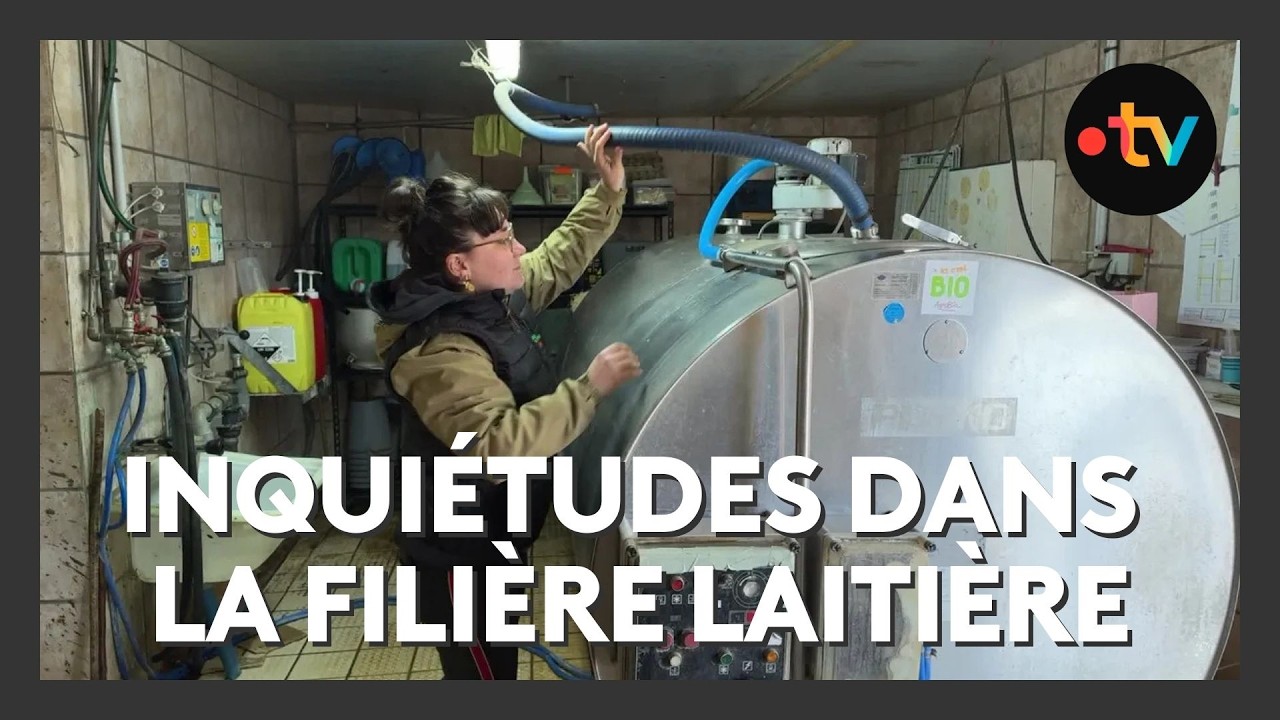 Agriculture : l'inqui&eacute;tude des &eacute;leveurs laitiers