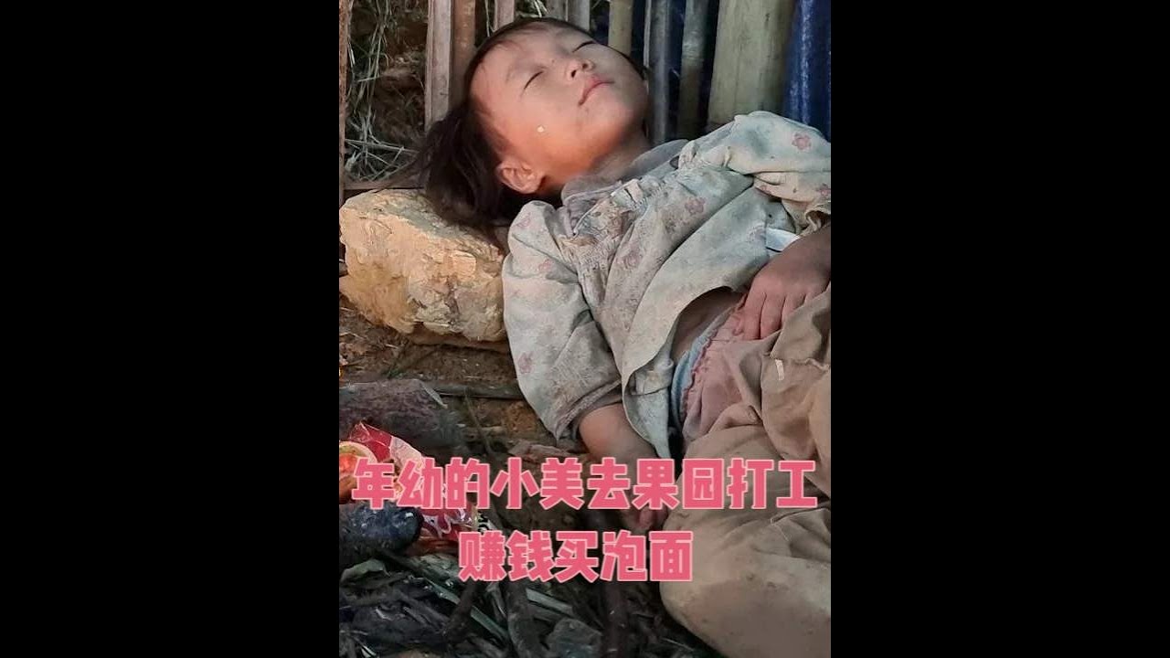 年幼的小美去果园打工赚钱买泡面 #越南农村生活 #荒野求生 #生活纪实 #越南小女孩