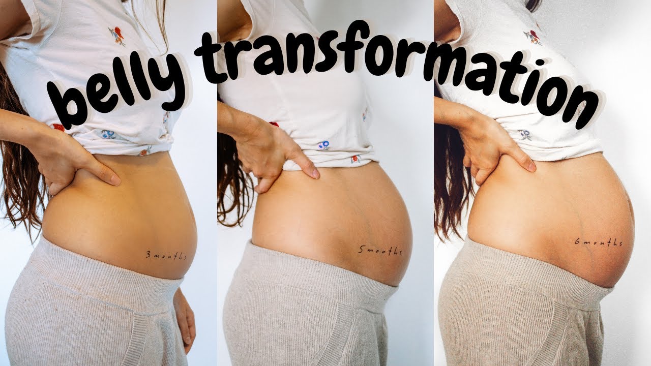 Pregnant Belly Progression | 8-40 Weeks