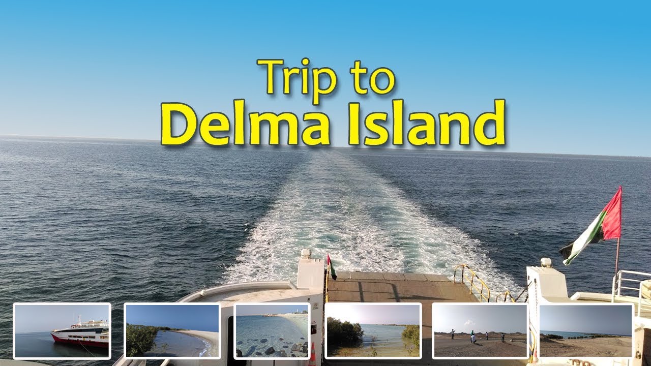 Dalma Island Trip (Abu Dhabi)