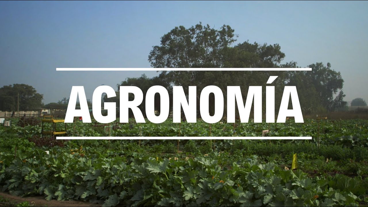 Estudia Agronom&iacute;a en la UNALM