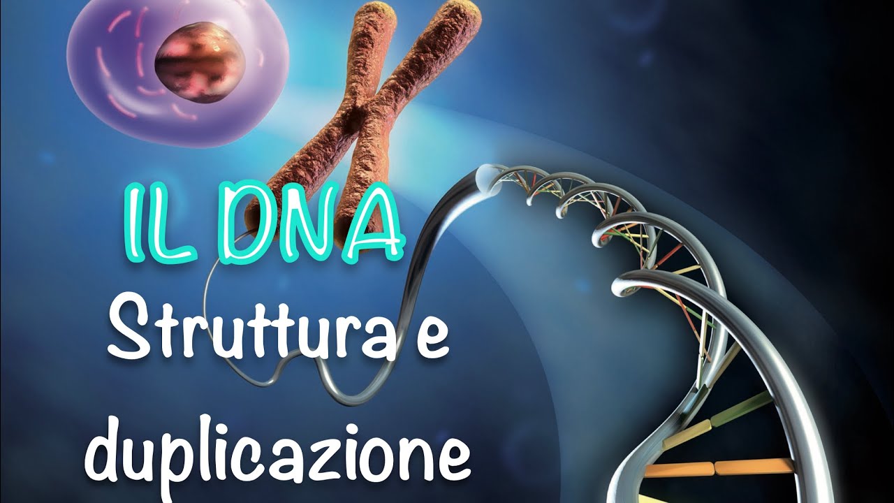 La struttura del DNA e la sua duplicazione
