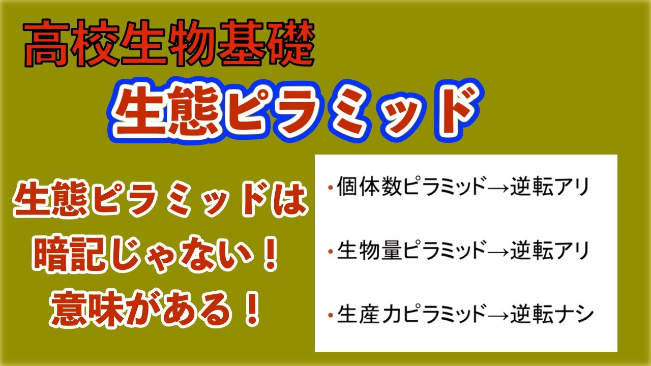 高校生物基礎 「生態ピラミッド　３つの生態ピラミッドの意味を理解する」