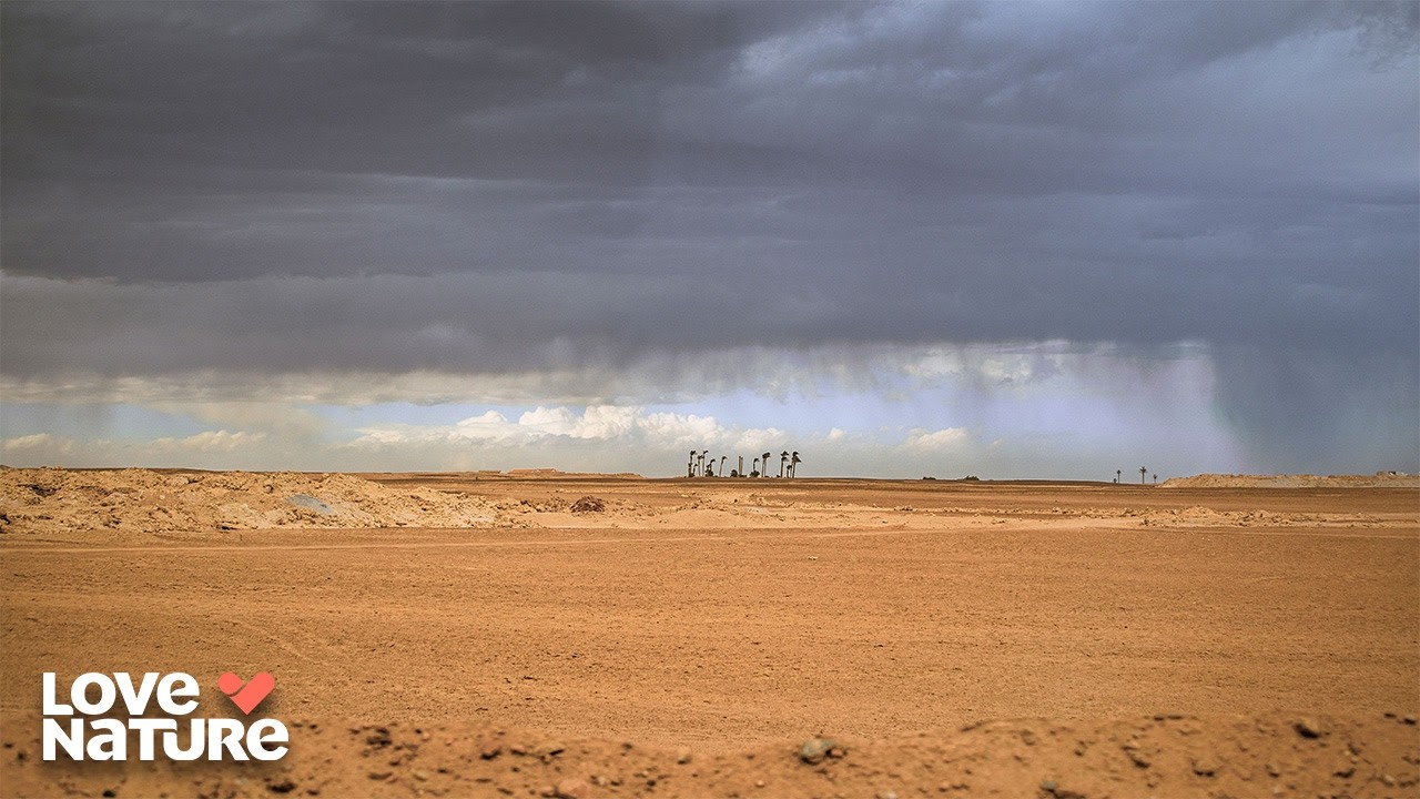 Africa's Violent Weather | Great Parks of Africa 102